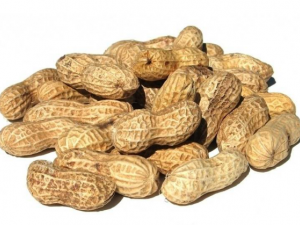 ʳ�û�������Щ����