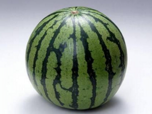 ʳ����������Щ����