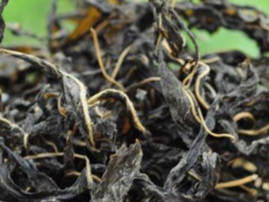 ��֥��Ҷ�Ĺ�Ч������