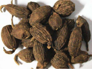 ʲô�ǲݹ� �ݹ��Ĺ�Ч������