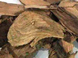 �ƴ��ڵĹ�Ч������ �����¾�ֹʹ