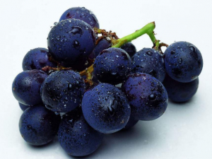 ��Щˮ�����б�ʪ��ˮ������