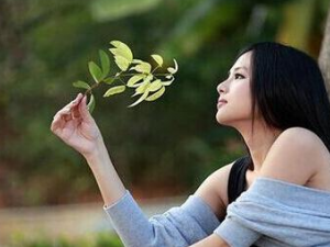 ��ҹ�ļ�����μ��� ��ҹ�ļ���������