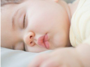 ���Կ�̵��ô�� ����������̵����������