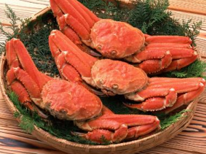 �����ʲô�ɰ�������