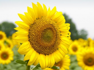 �＾��������Щ���� һ������ע�°�