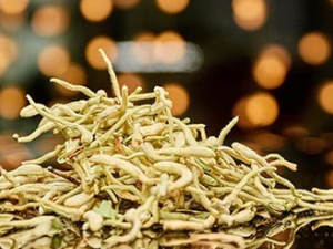 �������ܿ������� �������ķ��ý���