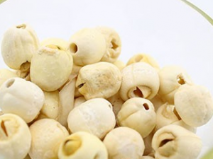 ��������Щ��Ч ʳ�����ӵĽ�����ʲô