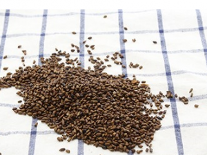 5��������������� ÿ�������ȵĺô�