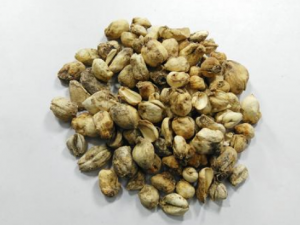 ����ĸ�Ĺ�Ч������