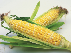 �ճ�����Щʳ�����ȥ��ʪ��