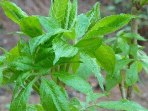 Ů�˳Դ��������Щ�ô�