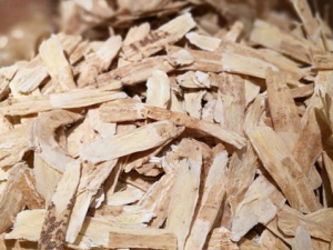 ˮȵĺô Щ˲ܺͻݵˮ