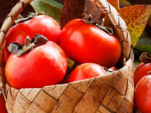 ������������Ļ᳤��ʯ��