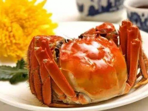 �����ڳ��з��ע����������Щ