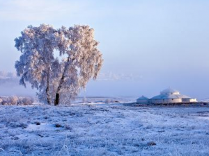 �������ͨ����ʳ������