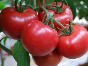 �Է�������ЩҪע��� ��֪����