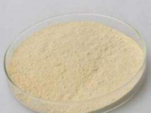 �����յĹ�Ч������ ���Ի������