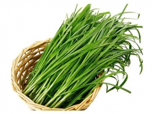 �²�һ��Զ��ٱȽϺ��� �Ծ²���ʲô�ô�