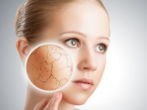 Ƥ���ֲ���θ��� Ƥ���ֲڵı�������