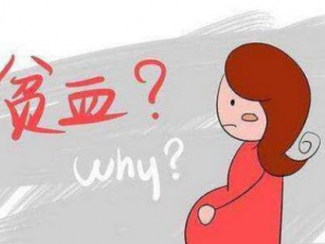 �����ܼ���ƶѪ �׵���ƶѪ����ʳ��������Щ