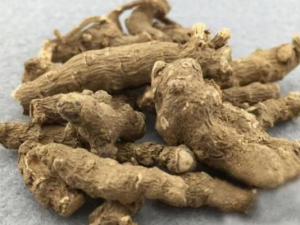 ����������Щ�ô� ������Ӧ�������ѡ