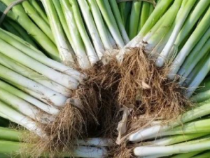 ��ж�����Щ��Ч ��и����ֵ�Ӫ����Ч