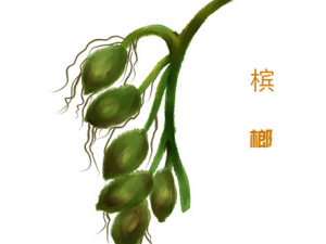 ��������Щ���� ���ƵĹ�Ч