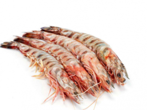 �и����Գ����Ϻ��