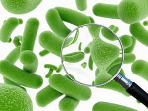 �����б�Ҫ���������� ���������ĺô�