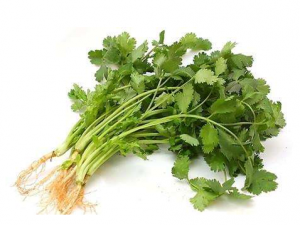 ��˵�����������ʲô