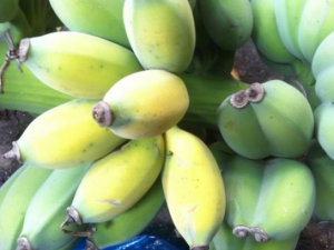 �Ž����������빦Ч Ԥ������ˮ��