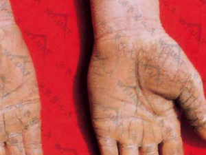 ����ƫ��������������