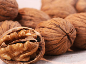 ��������Щ��ʳ����