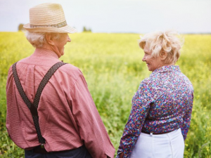 �����������ķ�������Щ