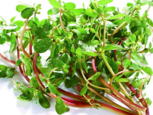 �������۵ķ�������Щ