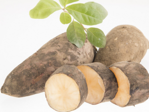 ʳ��ѩ��������Щע������