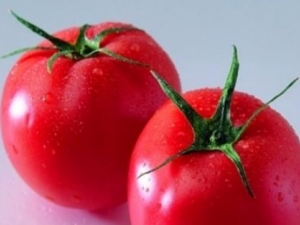 ������������ʲô���� �����ѡ��������