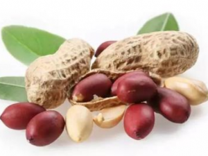 �������ܺ���Щʳ��һ��ʳ��