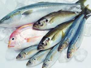 ���������ٶ�������Щ���� ���������