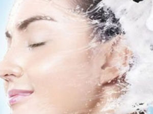 �촽Ҳ�軤�� ������λ���������