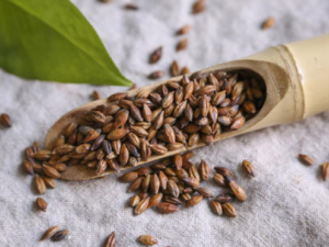 �����Ĺ�Ч ������ʳ�ý���