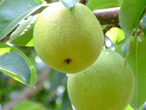 ʲô������ó� �����ѡ����