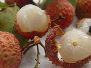 ��֦ѡ������ ������ѡ������֦