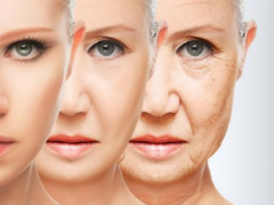 Ƥ��˥�ϻ�����Щ����