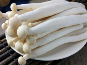 ��Թ����ʹ��� ʲô���ĺ��ʹ�����