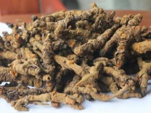 ��ʪ�Լ���Ӧ������� ��ʪ�Լ���������ƫ��