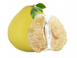 ����Ƥ��ҩ�ķ��� ����Ƥ�����⹦Ч