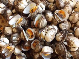 ʲô���ĺ��ݺ� �����ѡ������