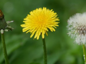 ��ˮ��������ƫ��